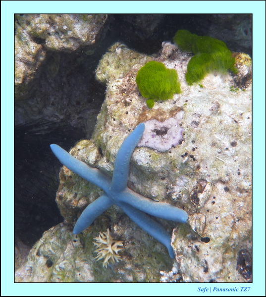 209   07   Sibuan 04